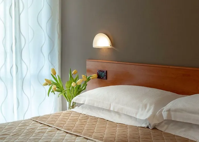 Hotel Pierre Riccione